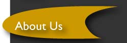 human resource consulting companies chicago IL - team building northwest suburbs IL - leadership development training chicago Illinois - organizational development northern Illinois